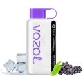 vozol 12000